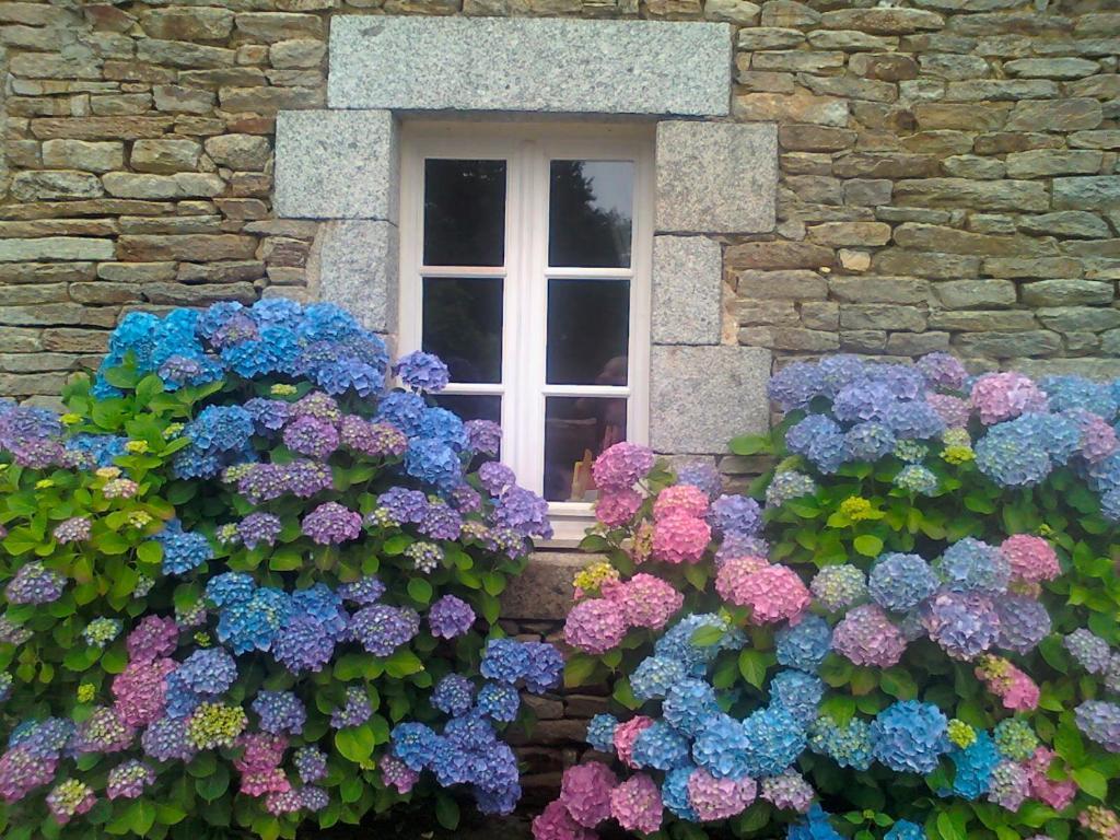 퐁타벤 Le Petit Kerangoi B&B 외부 사진